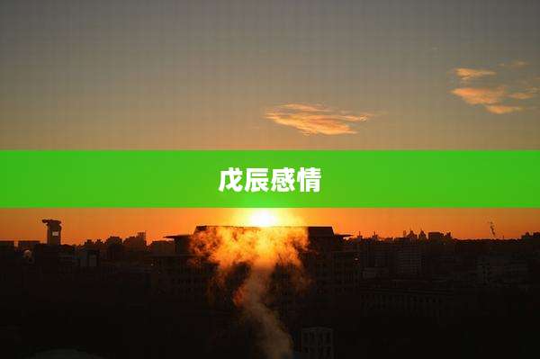戊辰感情