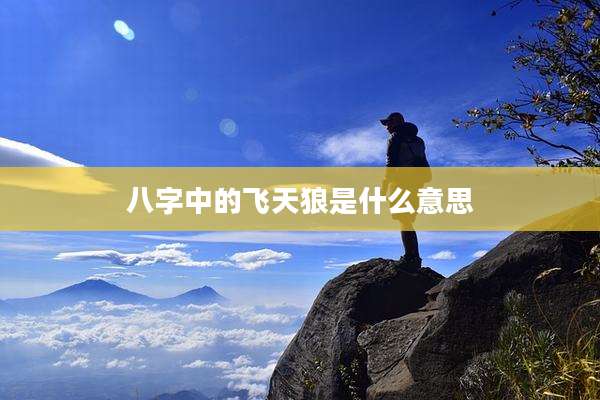 八字中的飞天狼是什么意思