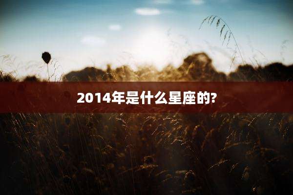 2014年是什么星座的?