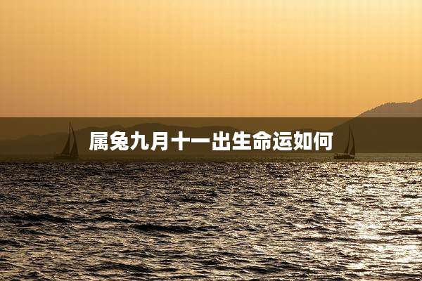 属兔九月十一出生命运如何