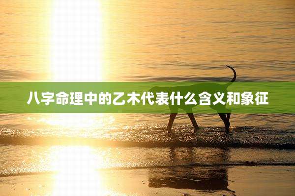 八字命理中的乙木代表什么含义和象征