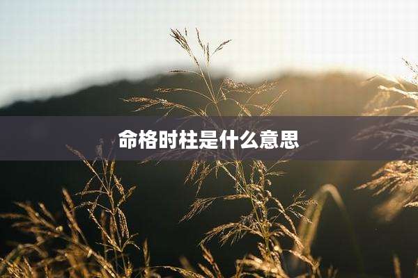 命格时柱是什么意思