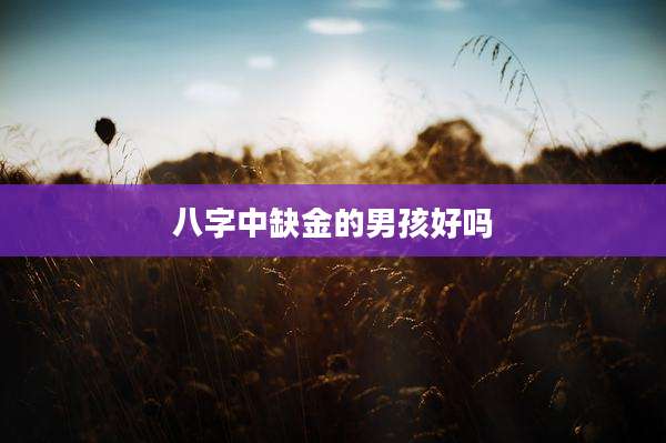 八字中缺金的男孩好吗