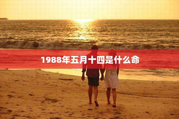 1988年五月十四是什么命