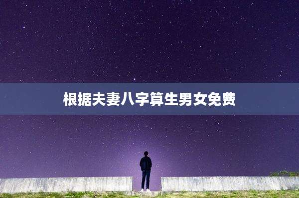 根据夫妻八字算生男女免费