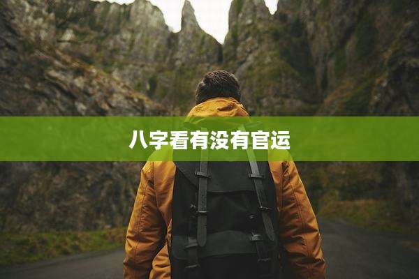 八字看有没有官运