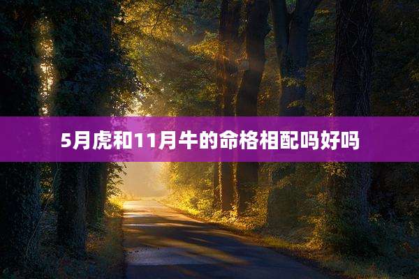 5月虎和11月牛的命格相配吗好吗