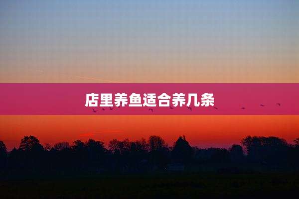 店里养鱼适合养几条