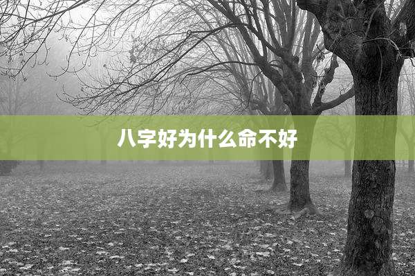八字好为什么命不好