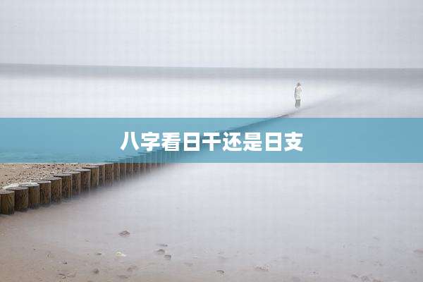 八字看日干还是日支