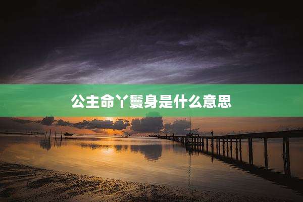公主命丫鬟身是什么意思