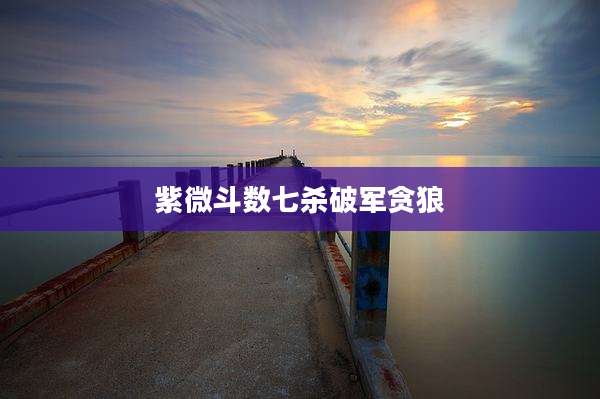 紫微斗数七杀破军贪狼