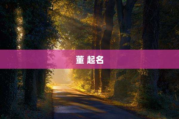 董 起名