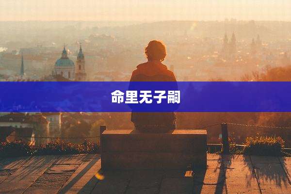 命里无子嗣