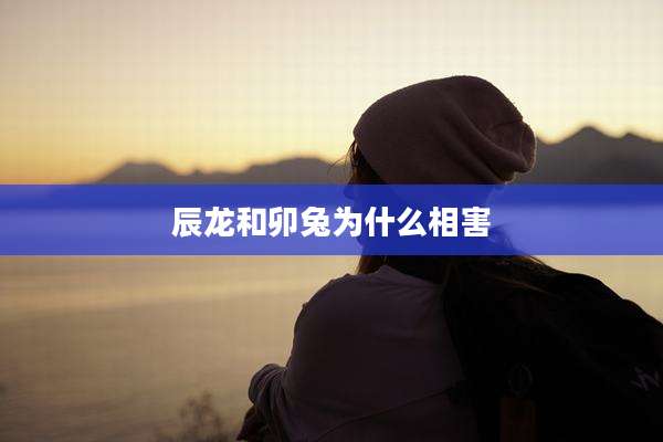 辰龙和卯兔为什么相害