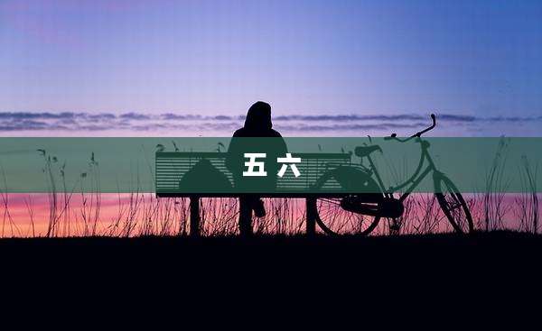 五 六