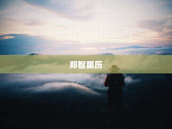 郑智履历