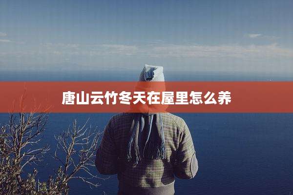唐山云竹冬天在屋里怎么养