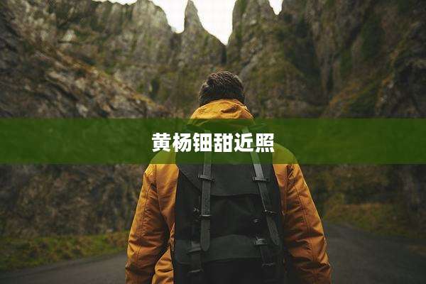 黄杨钿甜近照