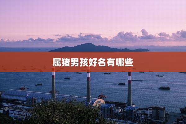 属猪男孩好名有哪些