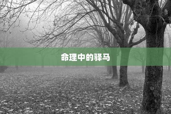 命理中的驿马