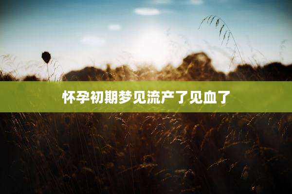 怀孕初期梦见流产了见血了