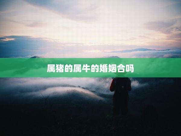 属猪的属牛的婚姻合吗