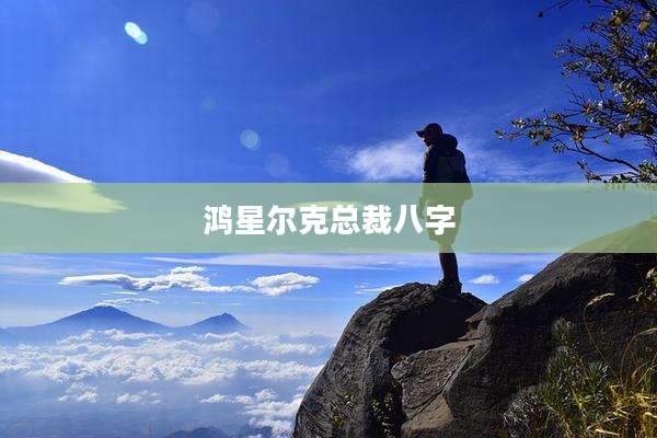 鸿星尔克总裁八字