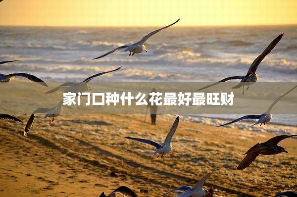 家门口种什么花最好最旺财