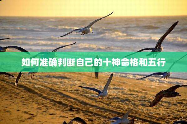 如何准确判断自己的十神命格和五行