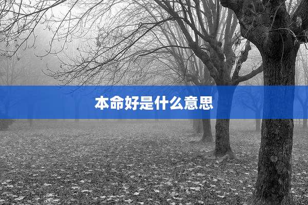 本命好是什么意思