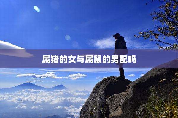 属猪的女与属鼠的男配吗