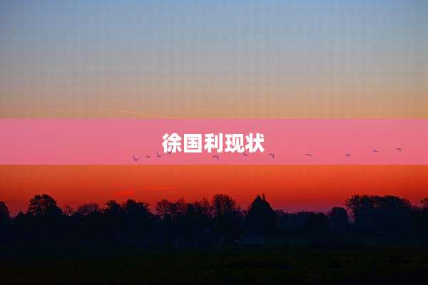 徐国利现状