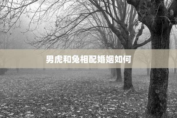 男虎和兔相配婚姻如何