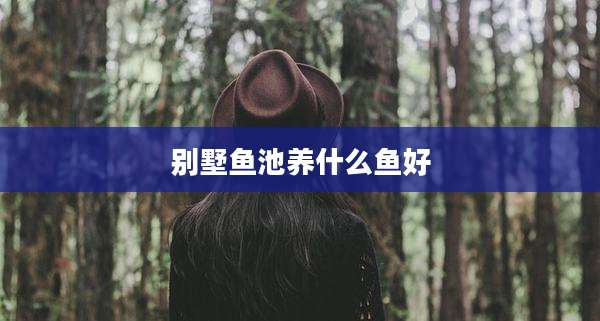 别墅鱼池养什么鱼好
