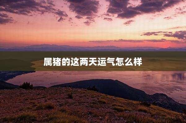 属猪的这两天运气怎么样