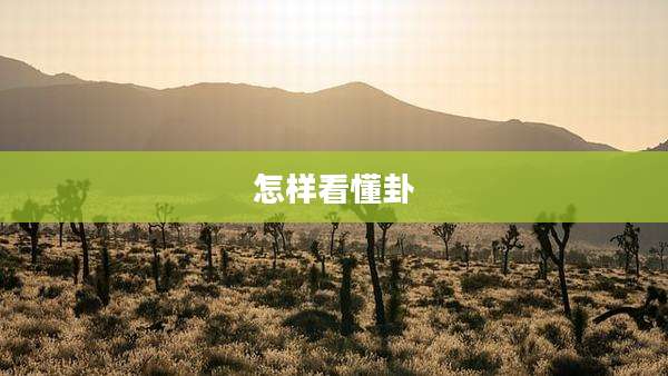 怎样看懂卦