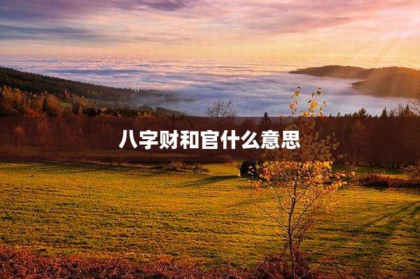 八字财和官什么意思