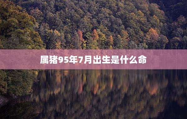 属猪95年7月出生是什么命