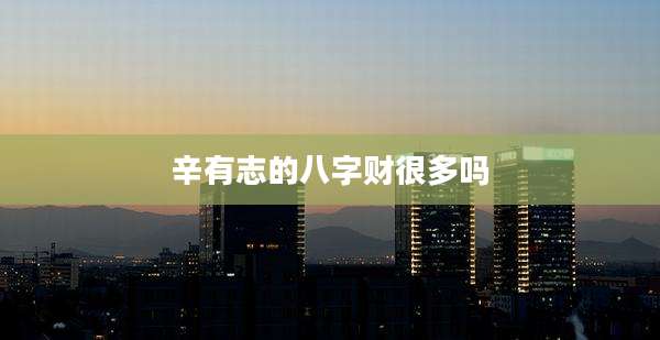 辛有志的八字财很多吗