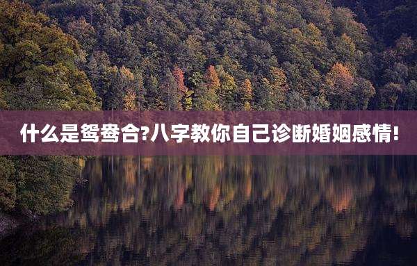 什么是鸳鸯合?八字教你自己诊断婚姻感情!