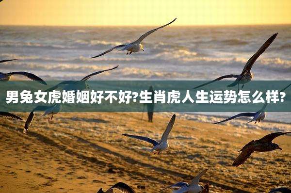 男兔女虎婚姻好不好?生肖虎人生运势怎么样?