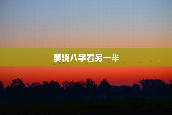 窦骁八字看另一半
