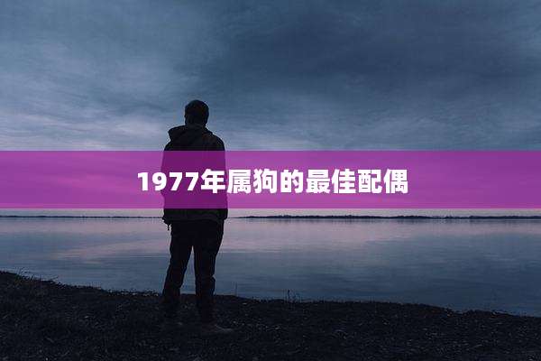 1977年属狗的最佳配偶