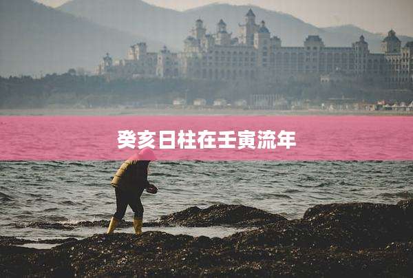 癸亥日柱在壬寅流年