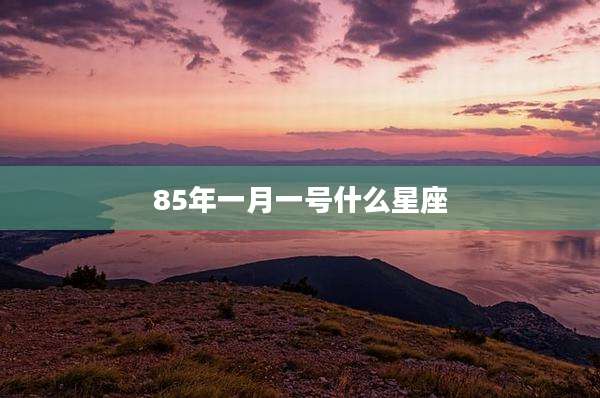 85年一月一号什么星座
