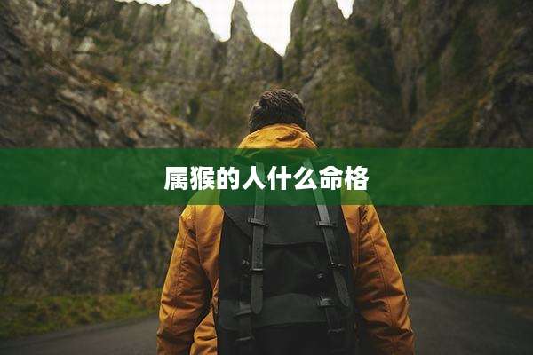 属猴的人什么命格