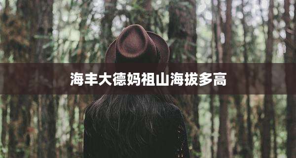 海丰大德妈祖山海拔多高