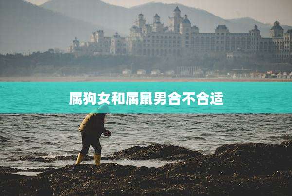 属狗女和属鼠男合不合适