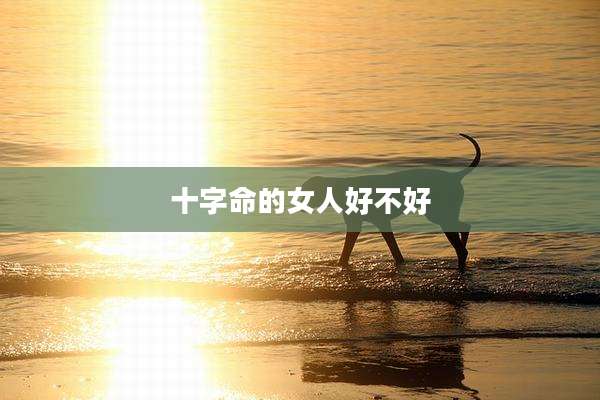 十字命的女人好不好